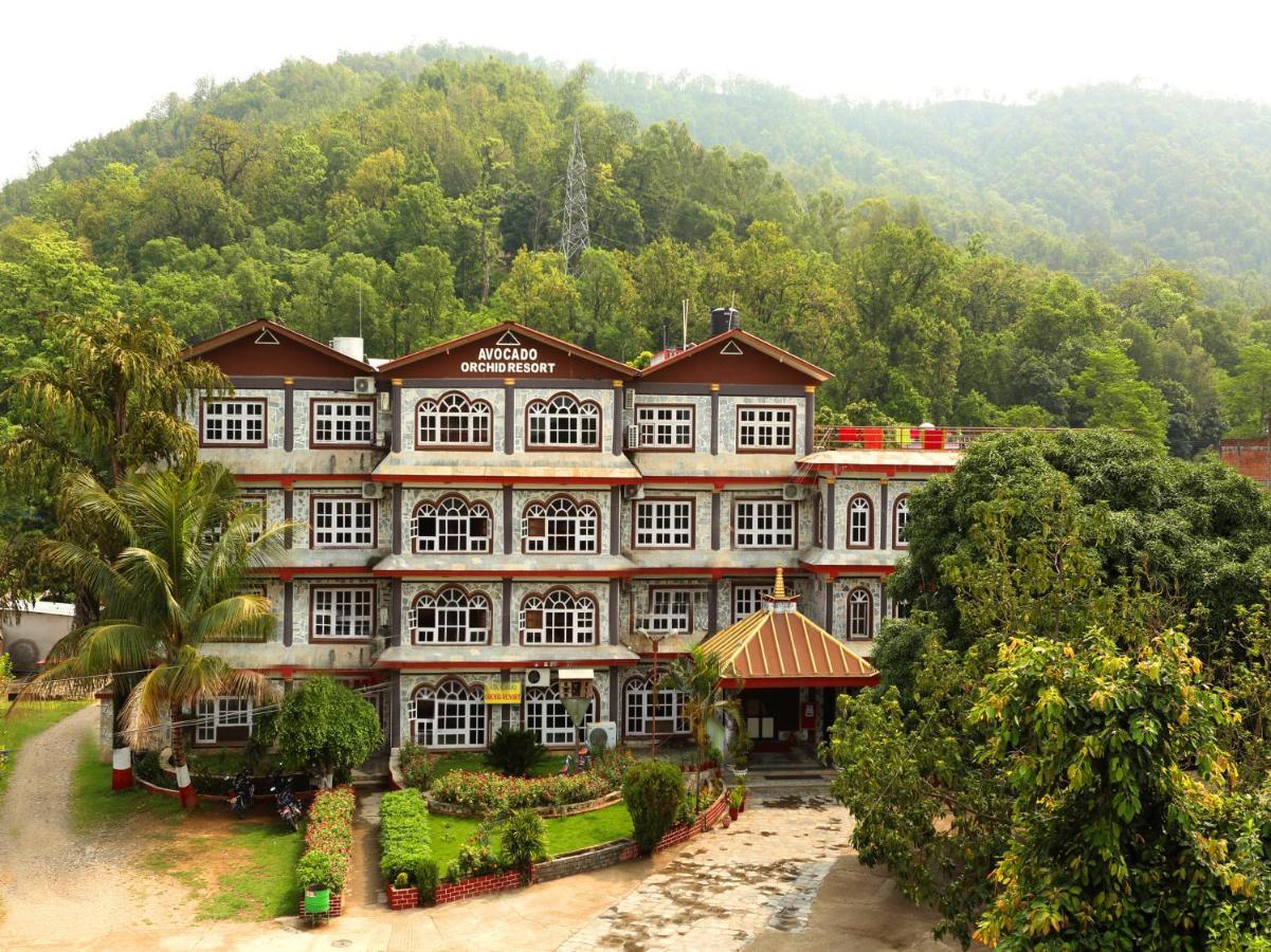 Avocado Orchid Resort Hetauda Esterno foto